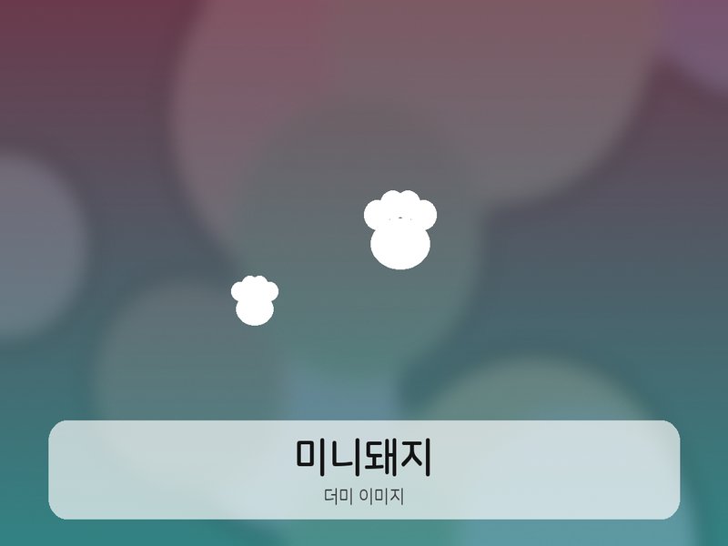밤톨맘 프로필
