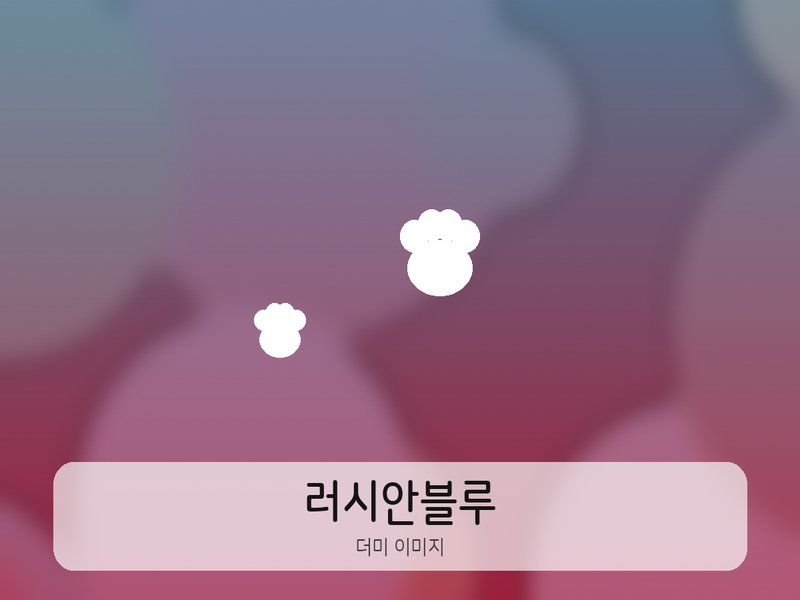 구름언니 프로필