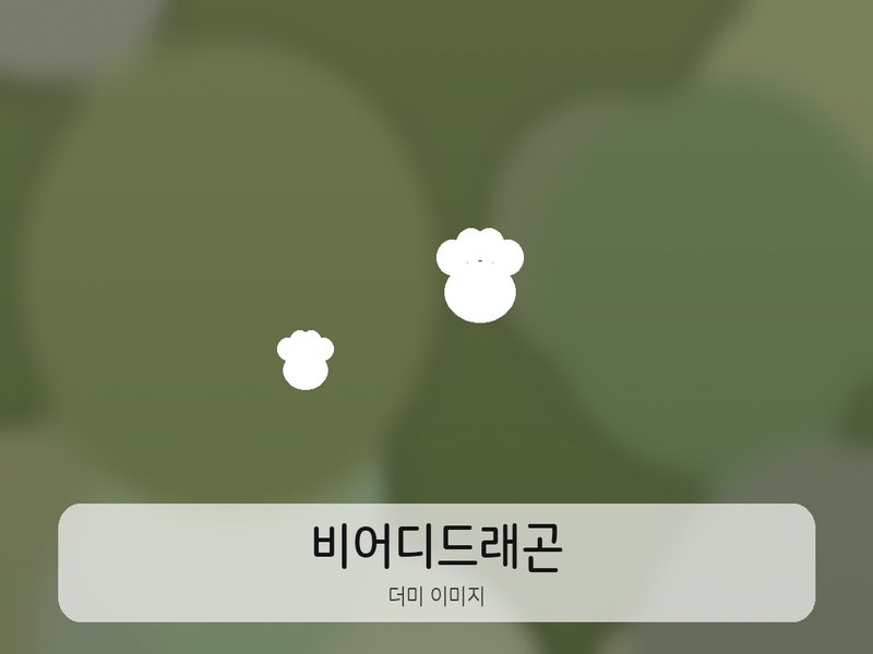 나비집사 프로필