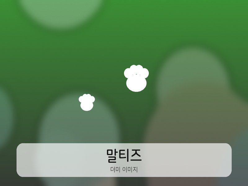 초코집사 프로필